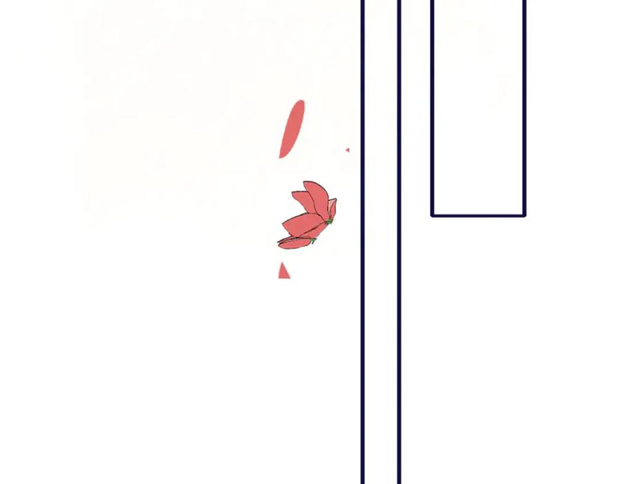 206.jpg