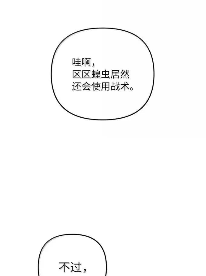 47.jpg