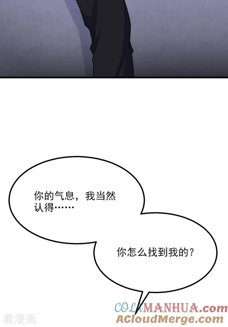 31.jpg