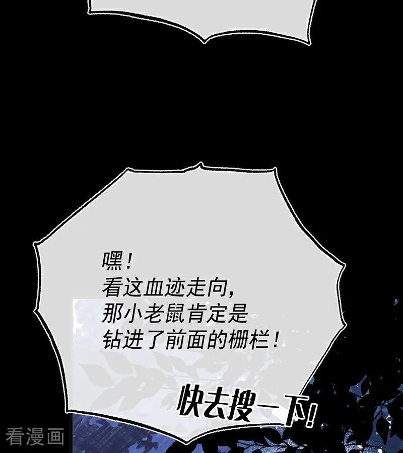 87.jpg