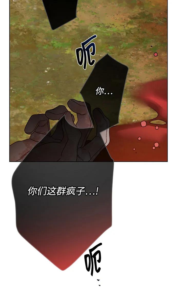 77.jpg