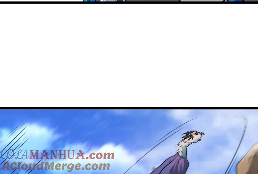 77.jpg