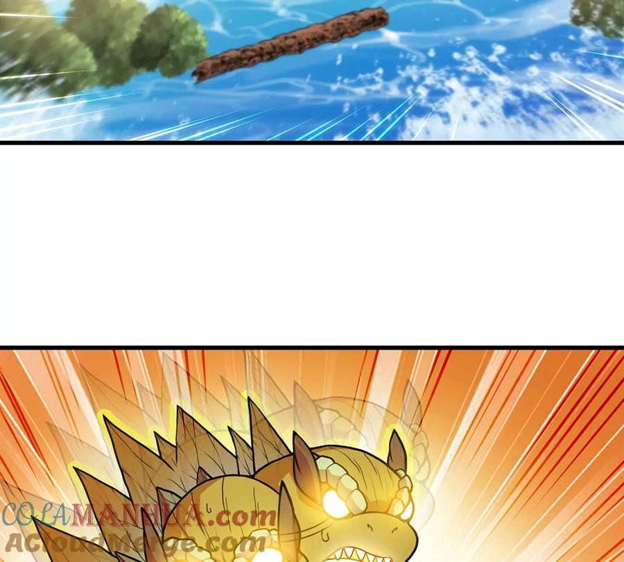 43.jpg