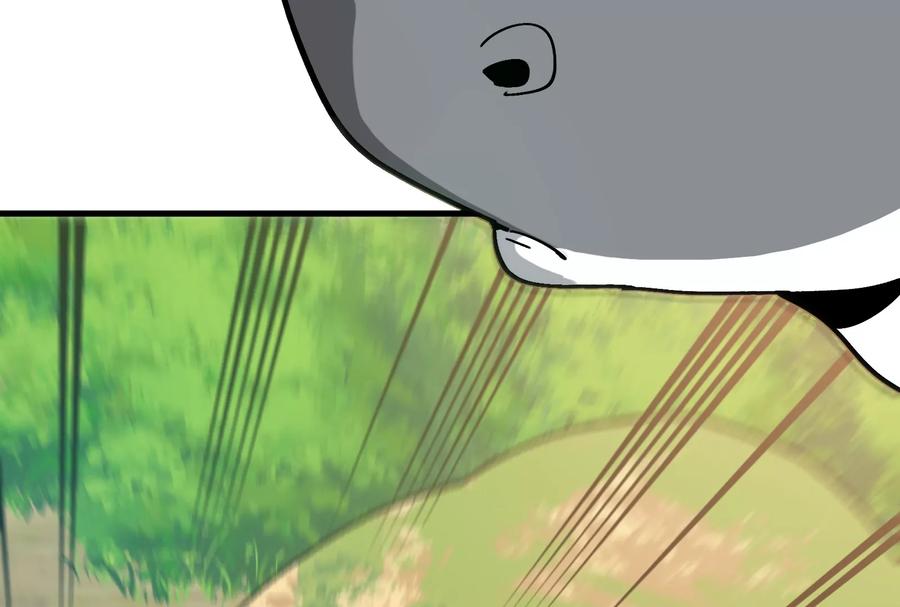 146.jpg