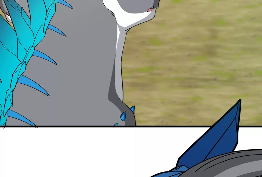 144.jpg