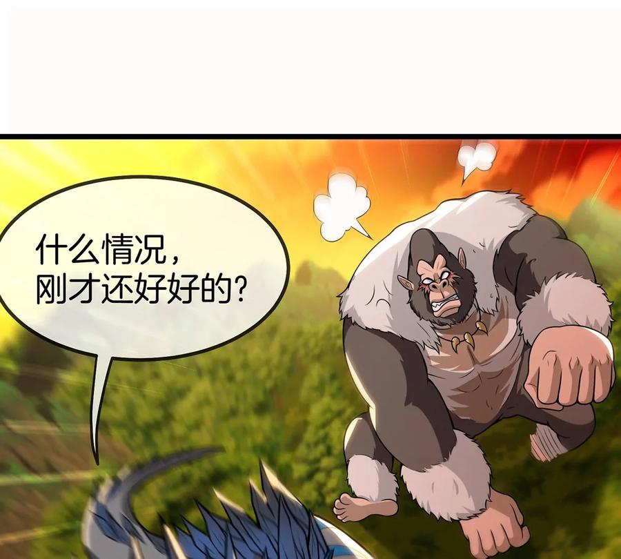 35.jpg