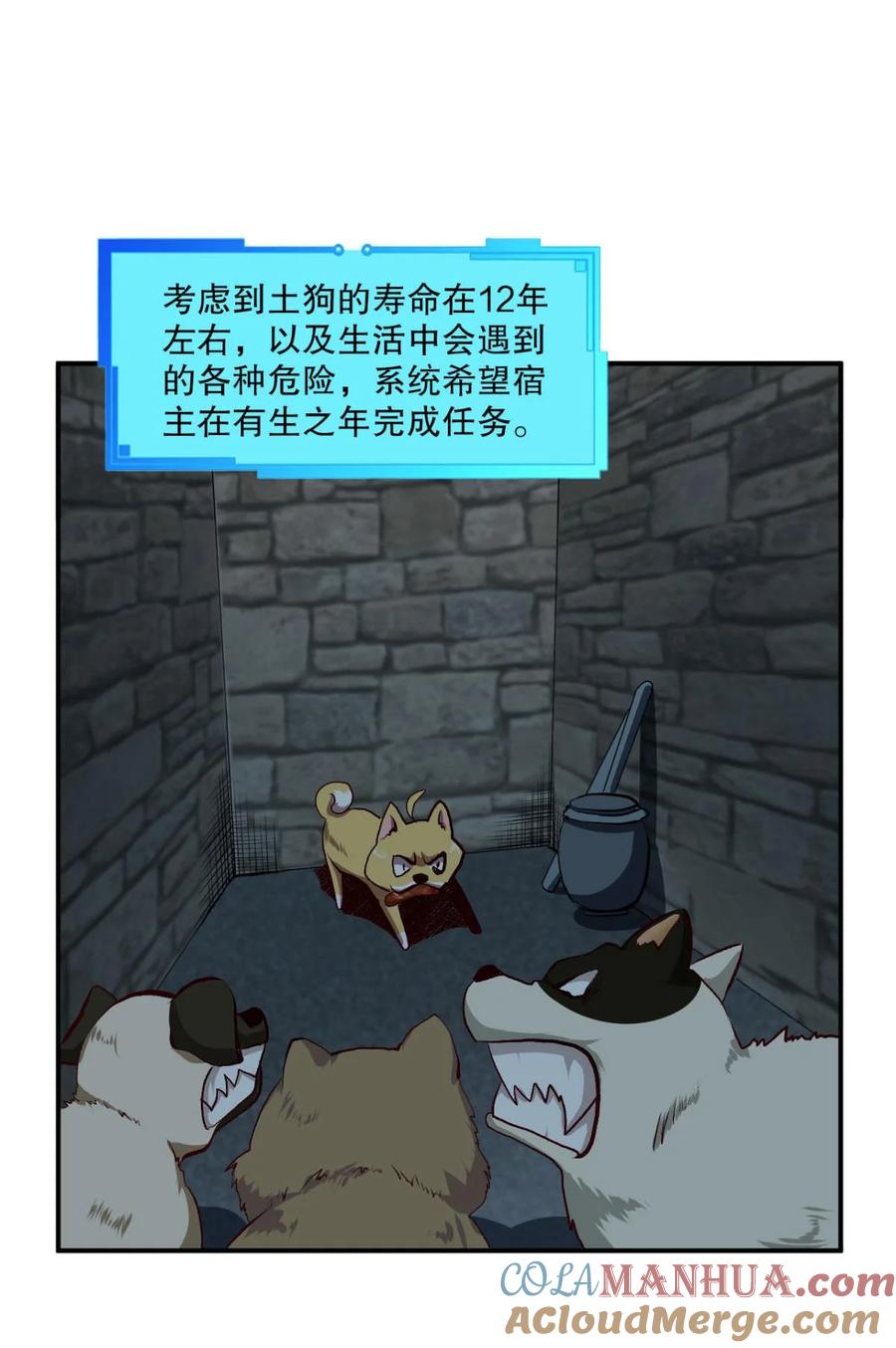 10.jpg