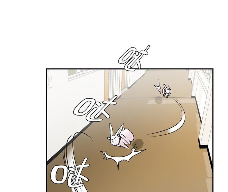 第75话真是搞笑-奇妙的动物高中-一漫文化（第5张）