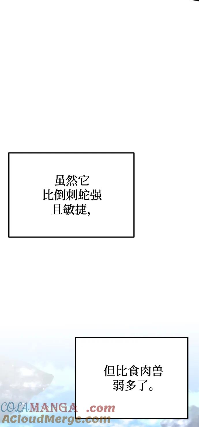 97.jpg