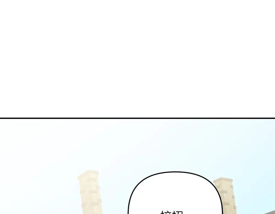 239.jpg