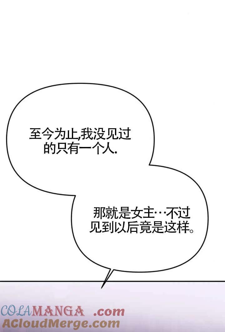 65.jpg