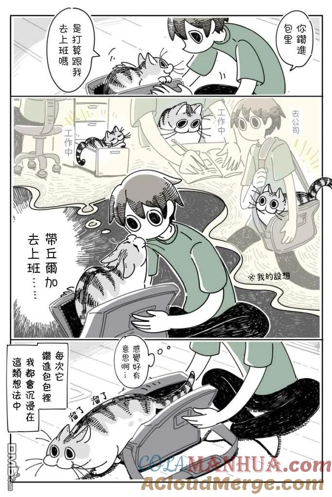 第28话-关于养猫我一直是新手-キュルZ（第1张）