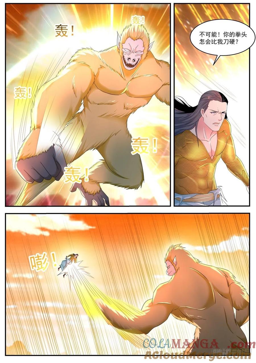 5.jpg