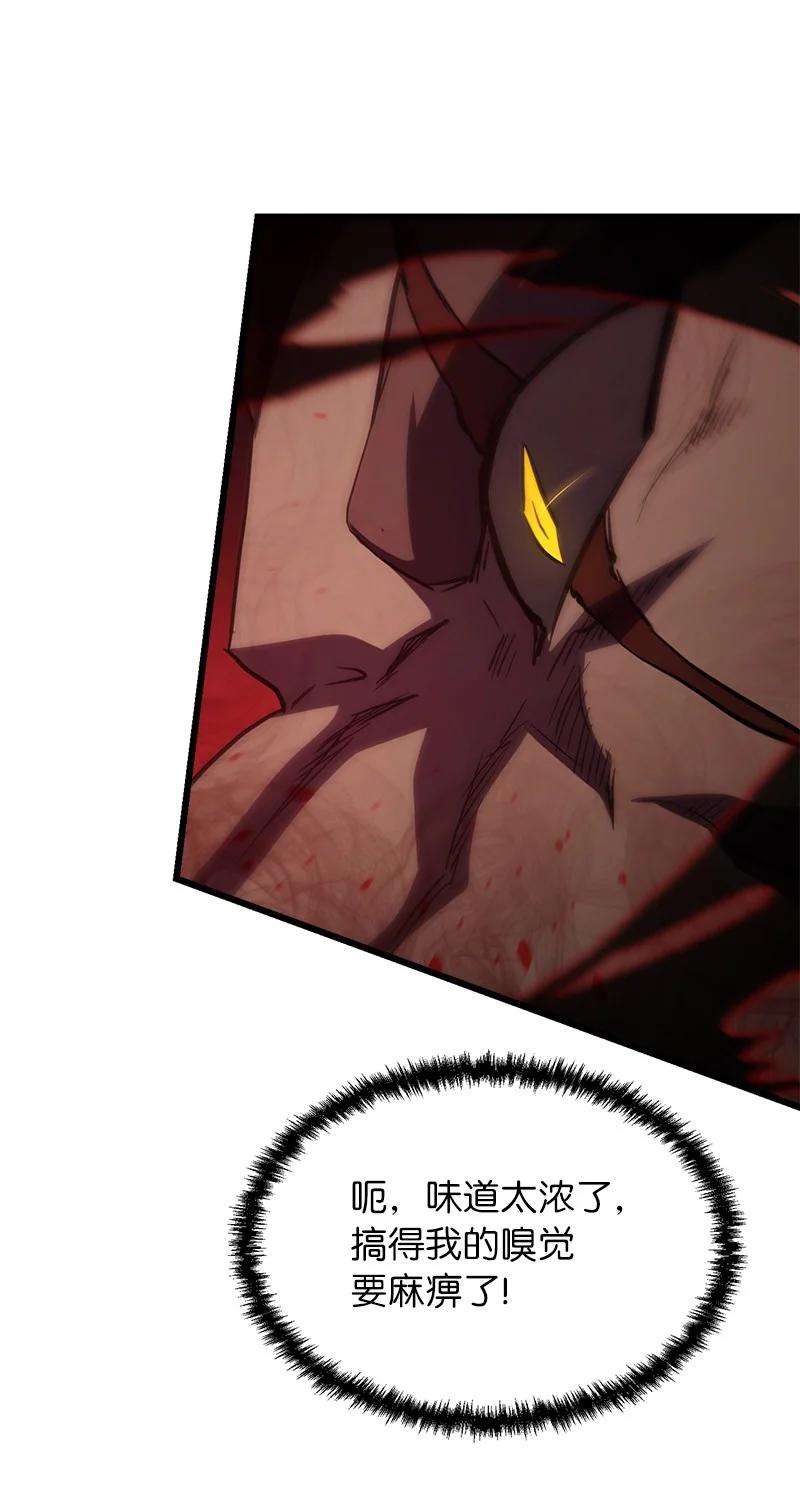 51.jpg