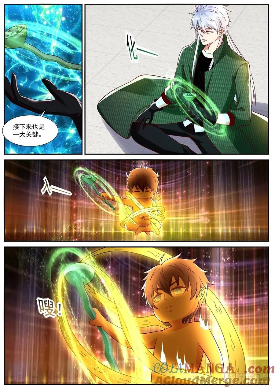 11.jpg