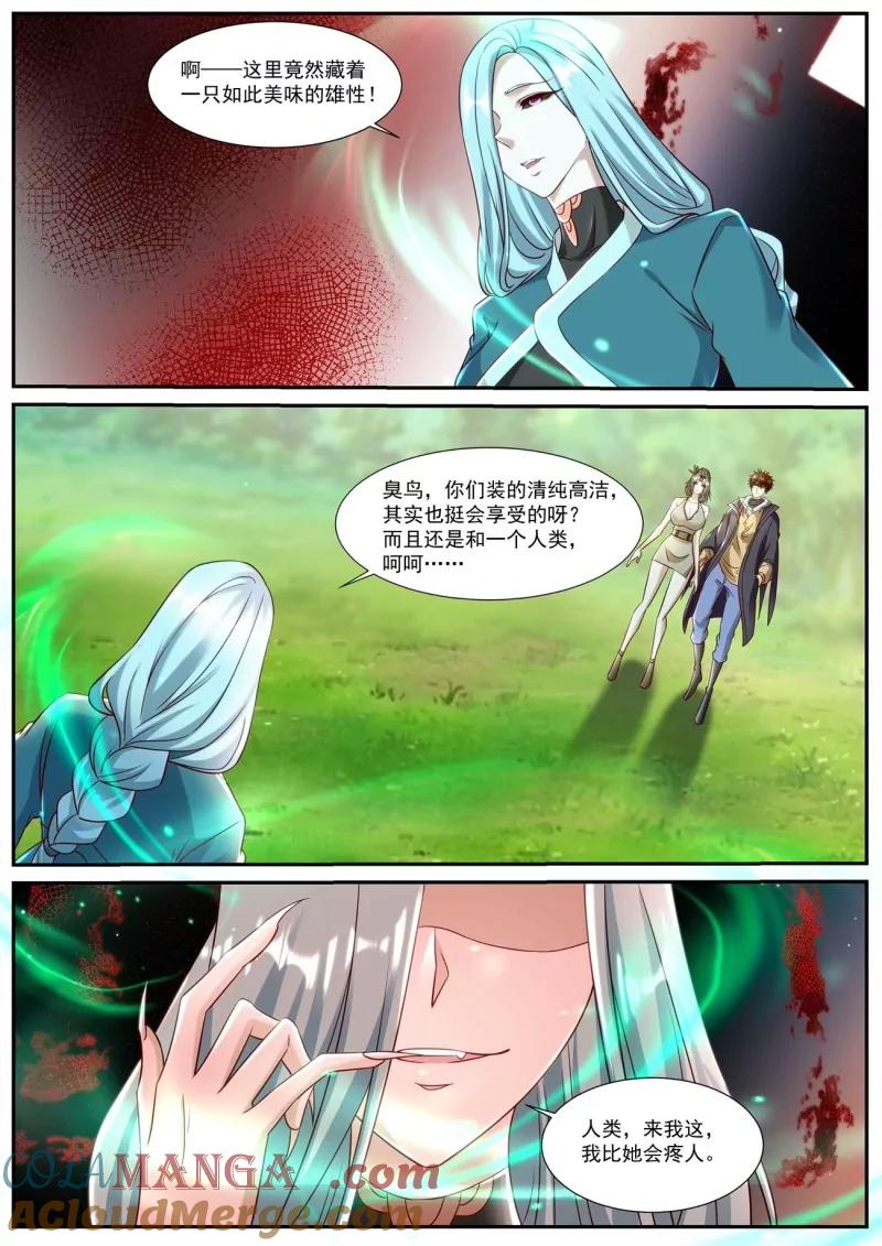 12.jpg