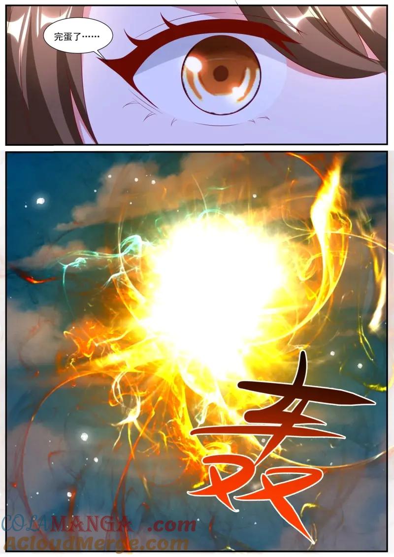 11.jpg