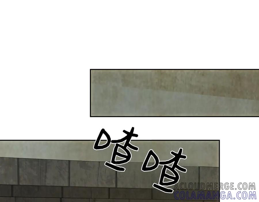213.jpg