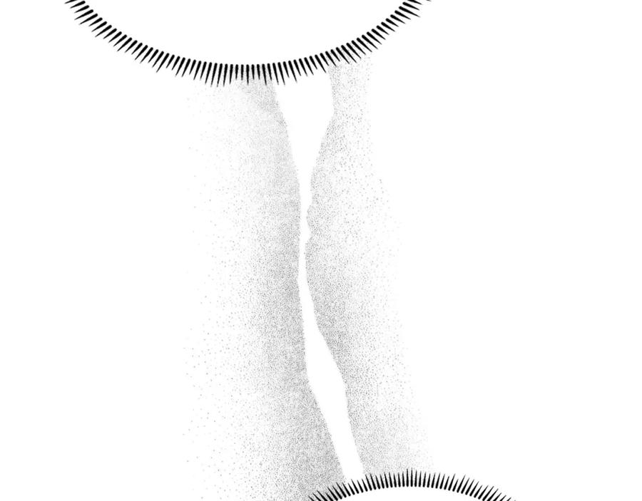 112.jpg