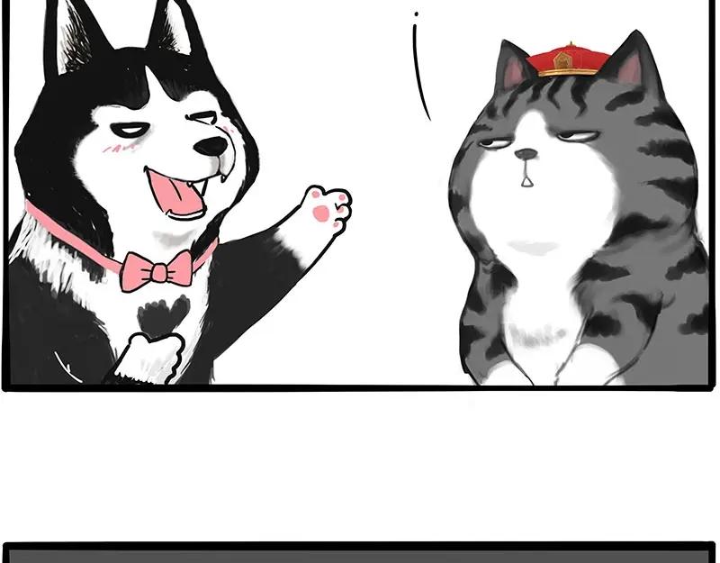 56.jpg