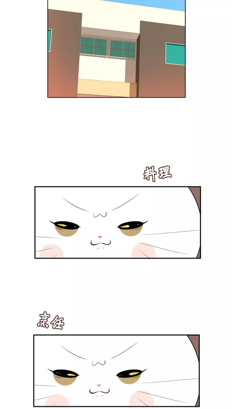第80话-ICE-Cold要员的捡猫事件-漫拍拍 金耶琳 张流拉（第2张）