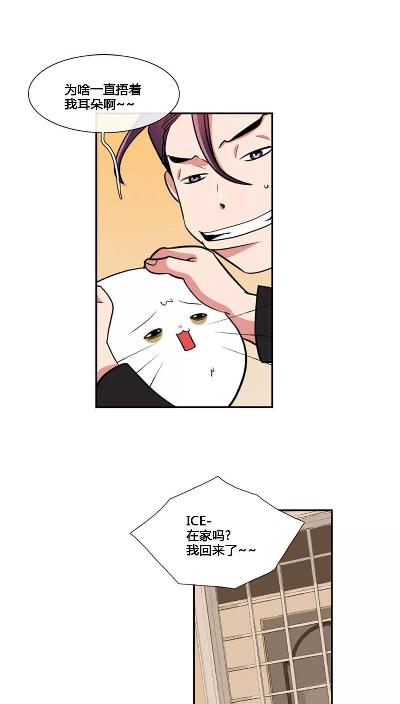 第80话-ICE-Cold要员的捡猫事件-漫拍拍 金耶琳 张流拉（第10张）