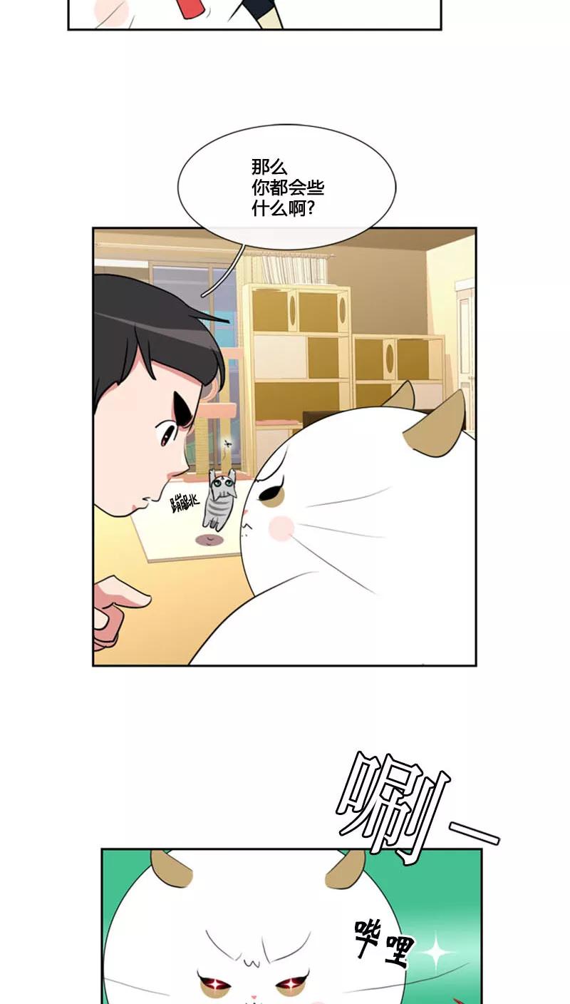 第80话-ICE-Cold要员的捡猫事件-漫拍拍 金耶琳 张流拉（第4张）