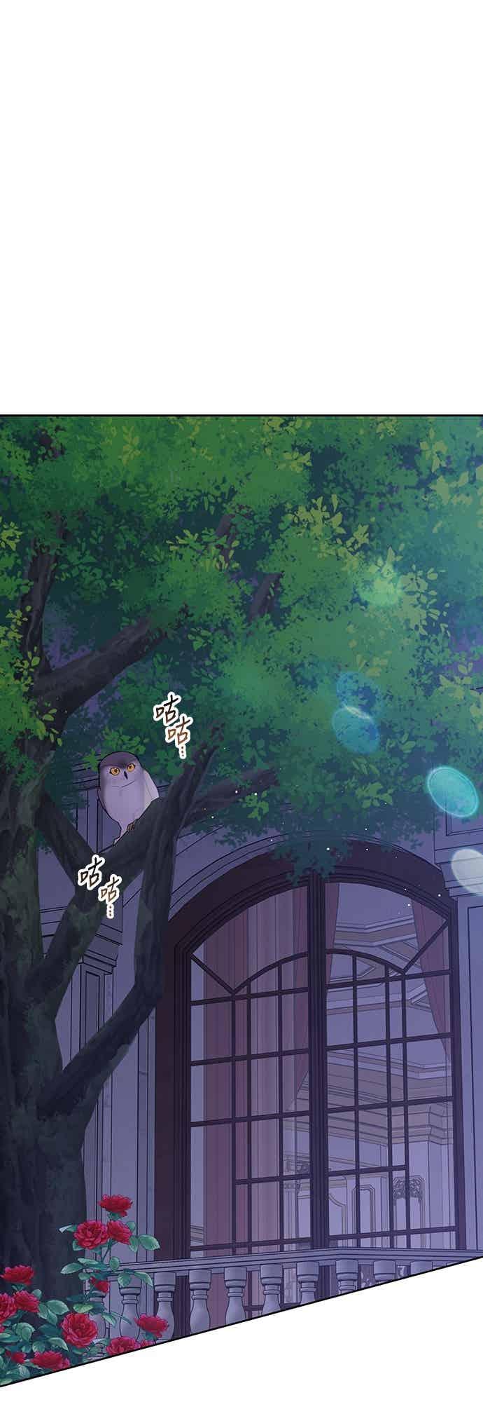 第121话被抛弃的艾斯特班-宝贝暴君-Lee Huin,Awon（第8张）