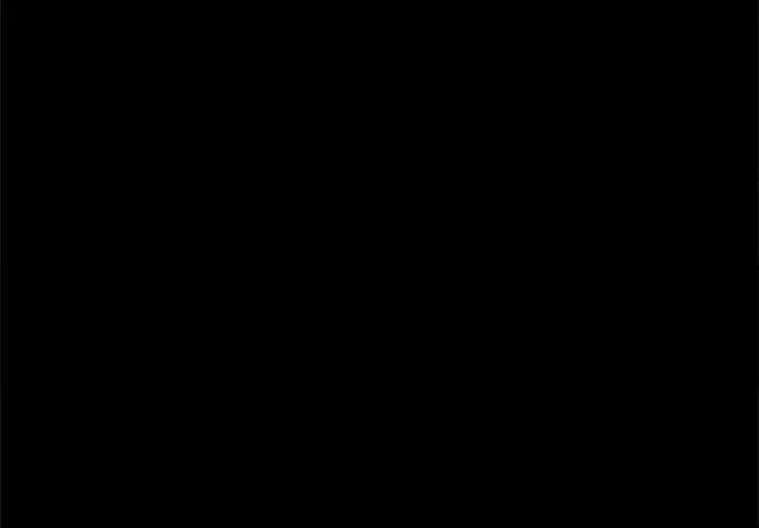 63.jpg
