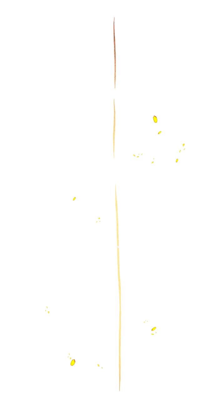 81.jpg