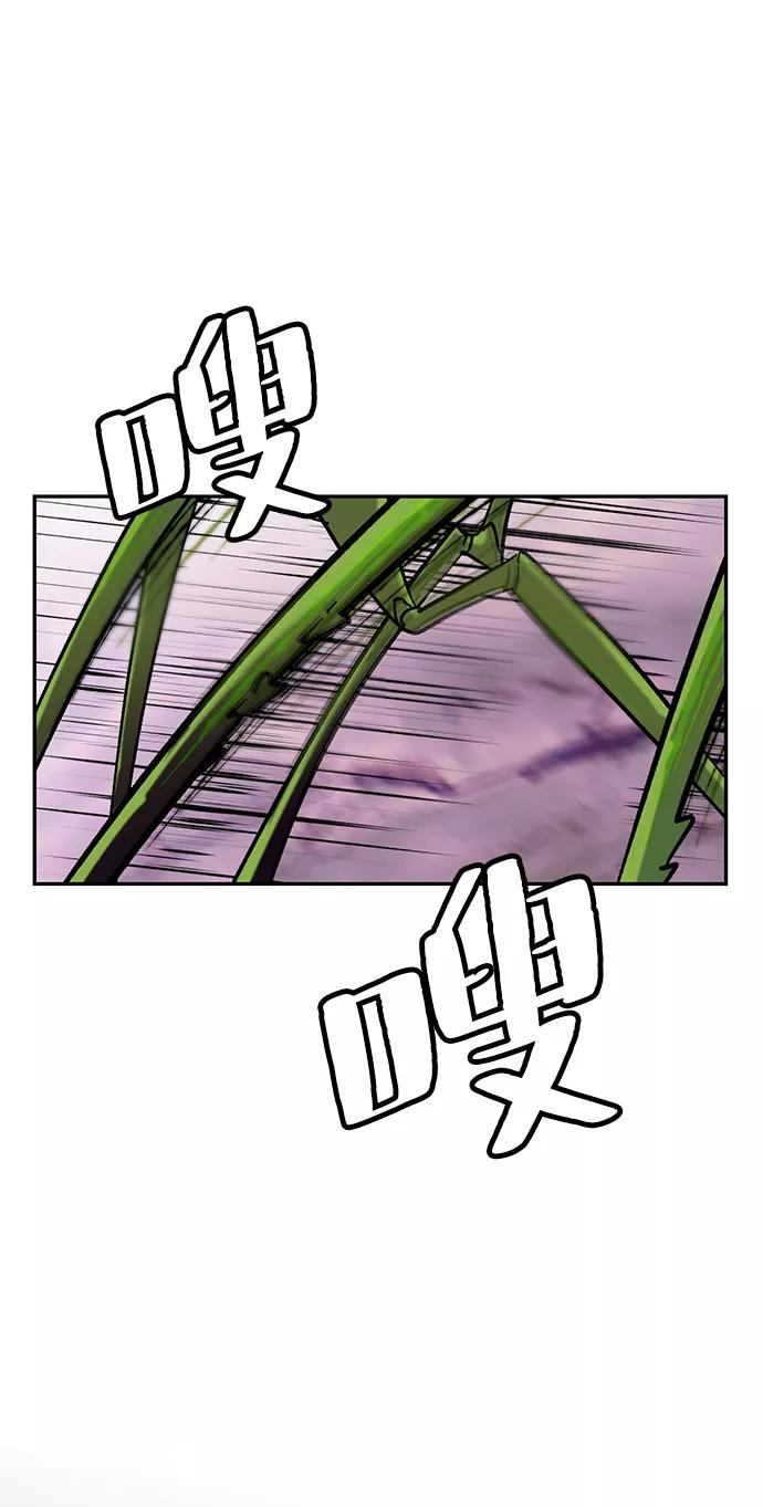 53.jpg