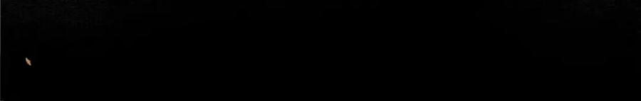 80.jpg