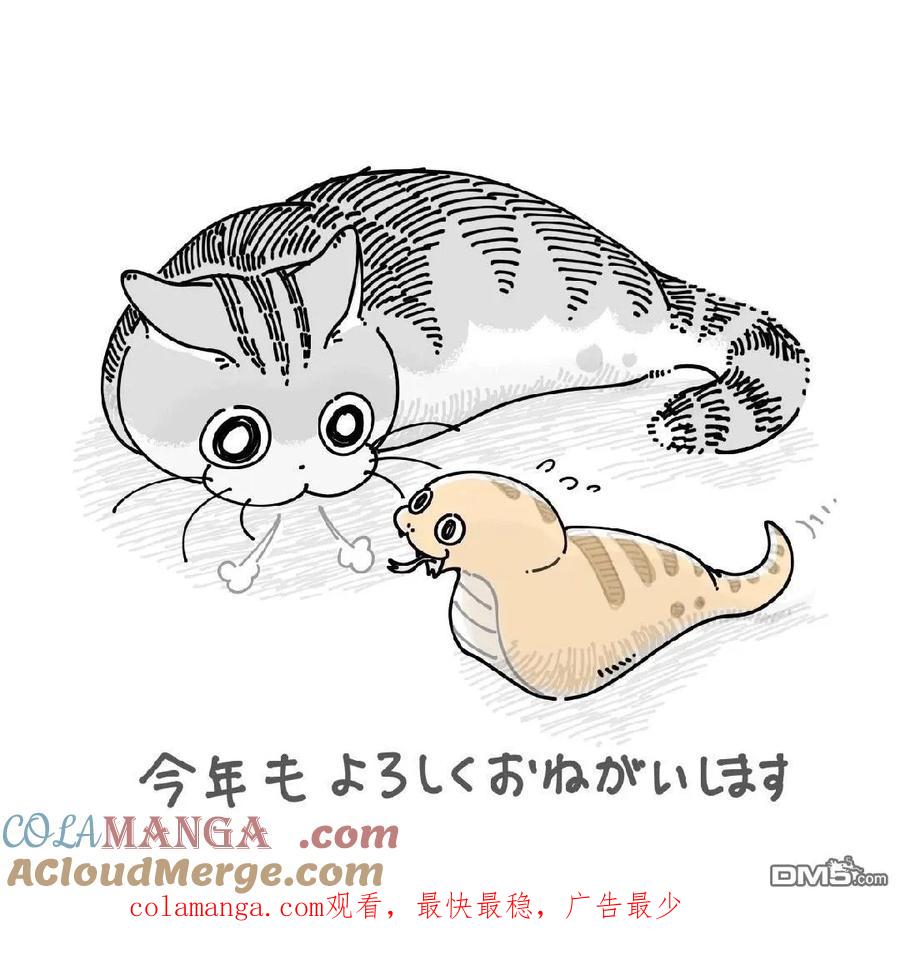 2025年贺图-关于养猫我一直是新手-キュルZ（第2张）