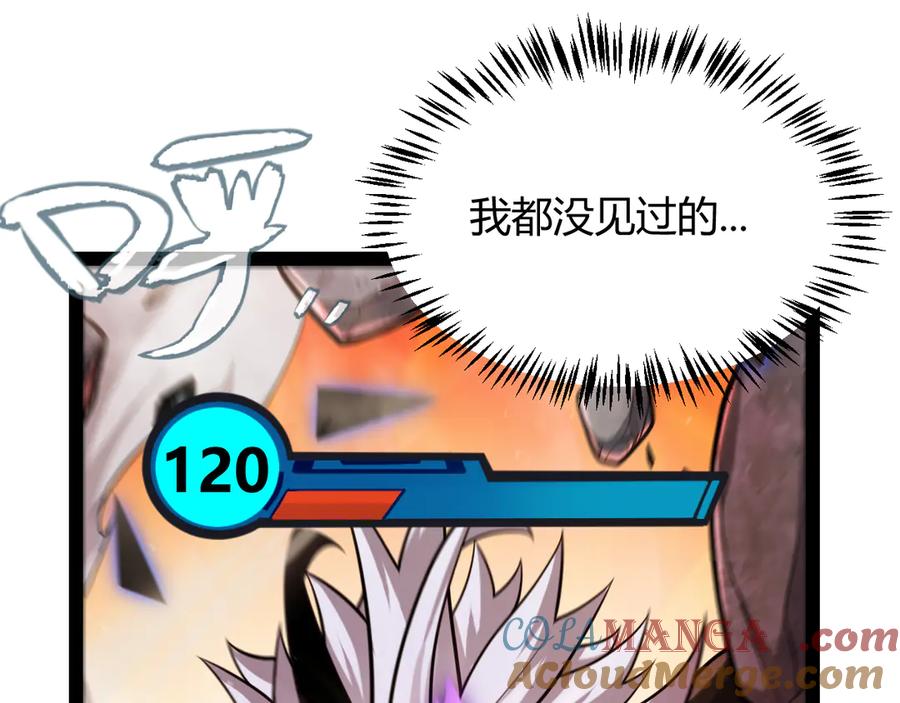 177.jpg