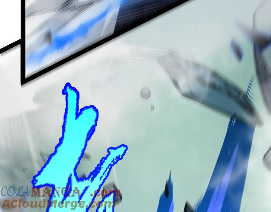 141.jpg