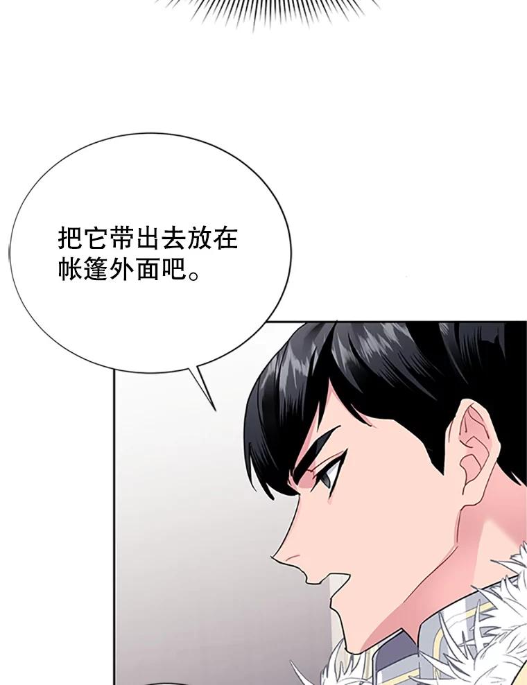 8.返回罗哈纳-传令鸟公主殿下-SWE ,Coin,hanryui（第5张）