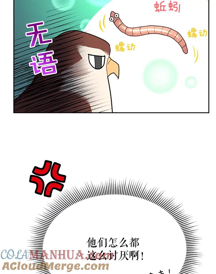 8.返回罗哈纳-传令鸟公主殿下-SWE ,Coin,hanryui（第15张）