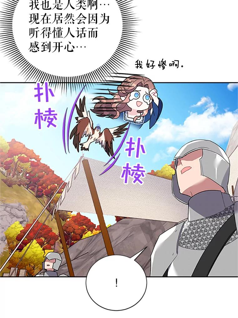 11.战争与台风-传令鸟公主殿下-SWE ,Coin,hanryui（第4张）
