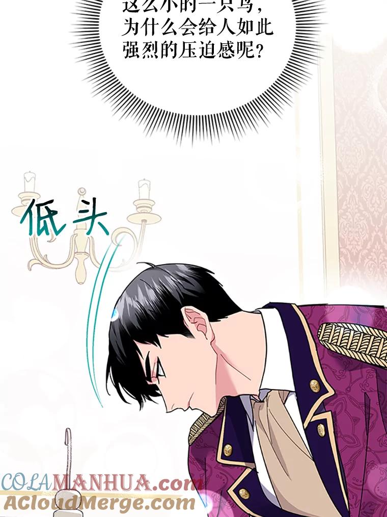 14.第三次任务-传令鸟公主殿下-SWE ,Coin,hanryui（第4张）