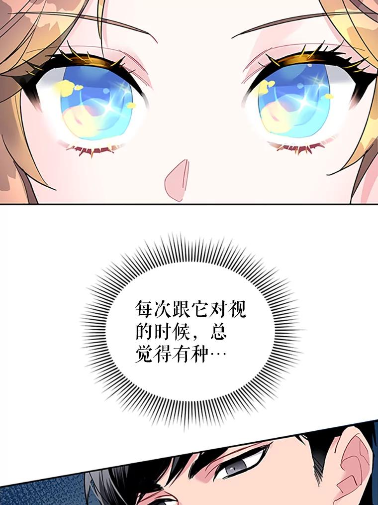 14.第三次任务-传令鸟公主殿下-SWE ,Coin,hanryui（第2张）