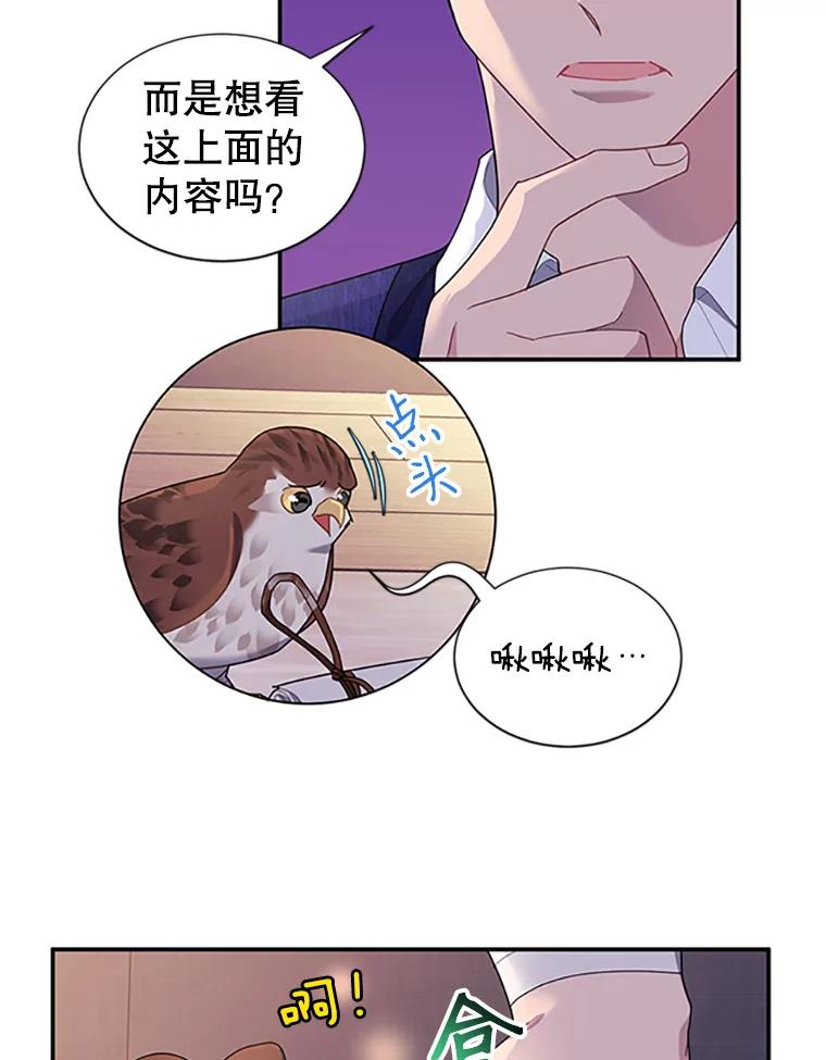 17.养伤-传令鸟公主殿下-SWE ,Coin,hanryui（第4张）