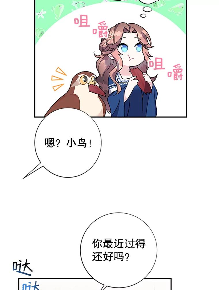 20.法拉尔的爱鸟？-传令鸟公主殿下-SWE ,Coin,hanryui（第5张）