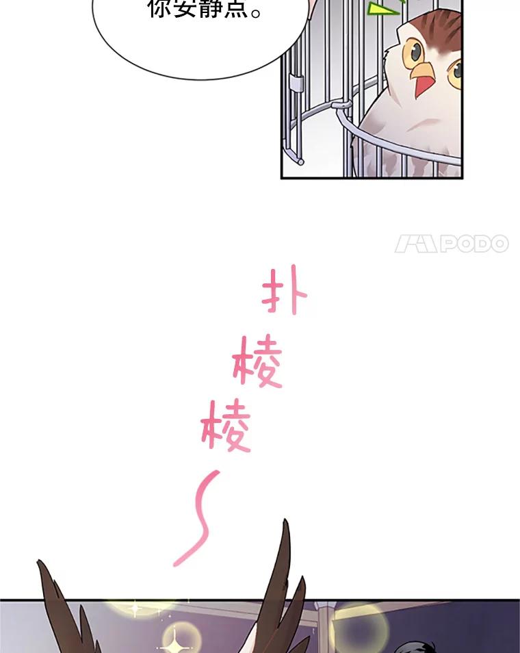 21.敞开心扉-传令鸟公主殿下-SWE ,Coin,hanryui（第2张）
