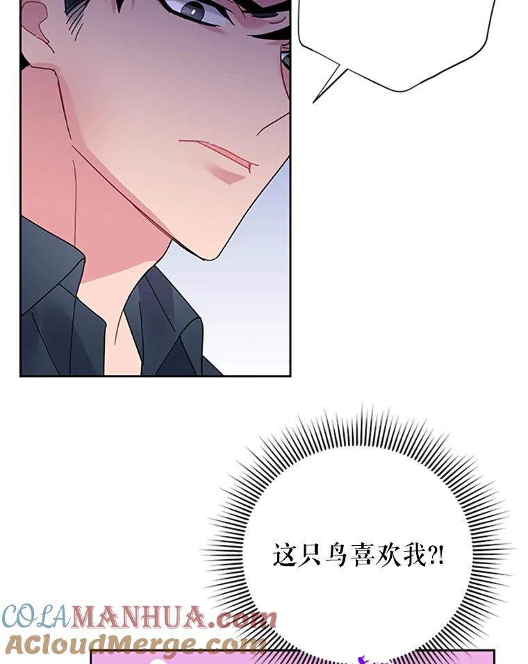 25.我还活着？-传令鸟公主殿下-SWE ,Coin,hanryui（第4张）