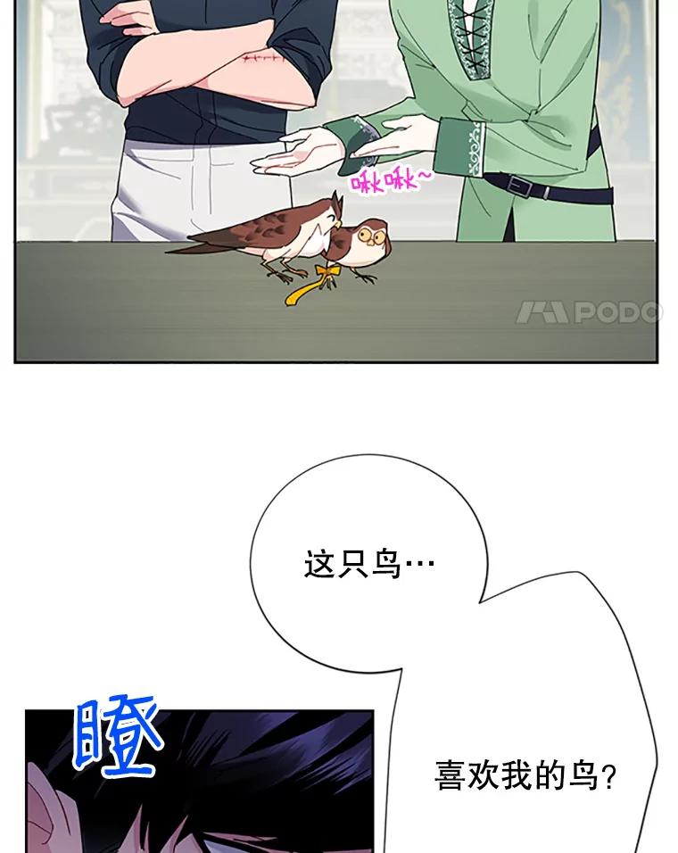 25.我还活着？-传令鸟公主殿下-SWE ,Coin,hanryui（第3张）