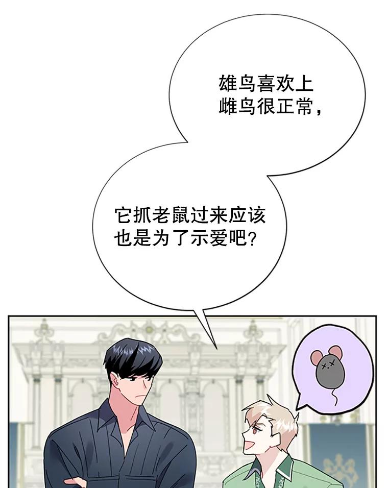 25.我还活着？-传令鸟公主殿下-SWE ,Coin,hanryui（第2张）