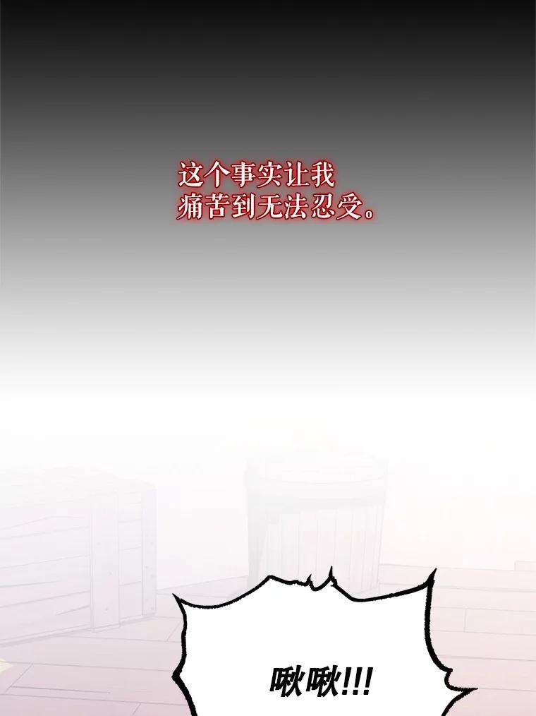 37.惨遭埋伏-传令鸟公主殿下-SWE ,Coin,hanryui（第11张）