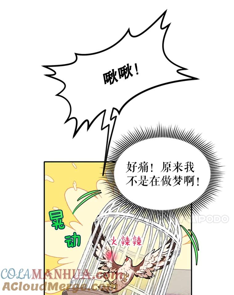 2.拯救传令兵-传令鸟公主殿下-SWE ,Coin,hanryui（第6张）