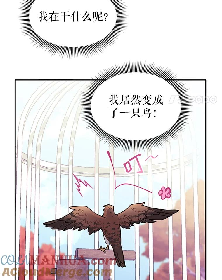 2.拯救传令兵-传令鸟公主殿下-SWE ,Coin,hanryui（第3张）