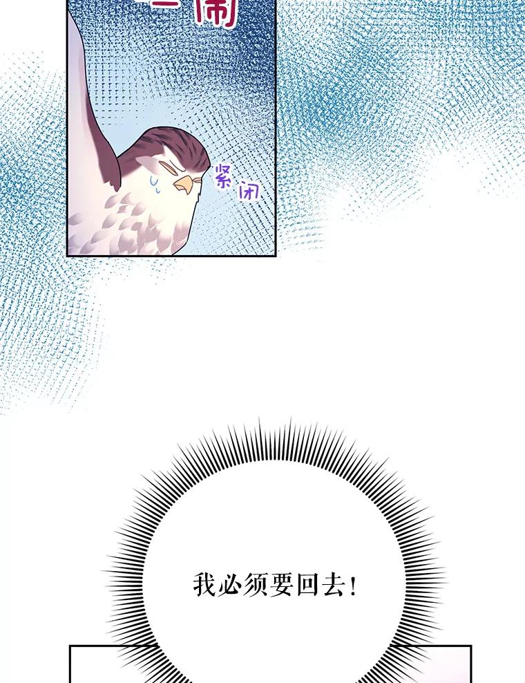 38.不该放你走！-传令鸟公主殿下-SWE ,Coin,hanryui（第4张）